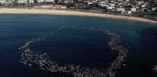 Sídney tributo en el mar a víctimas Bondi Beach
