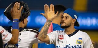Magallanes frena a los Tiburones