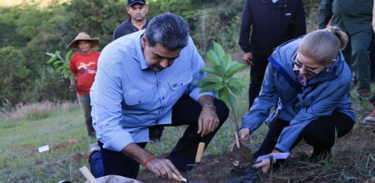 Venezuela proyecta siembra de árboles para 2026