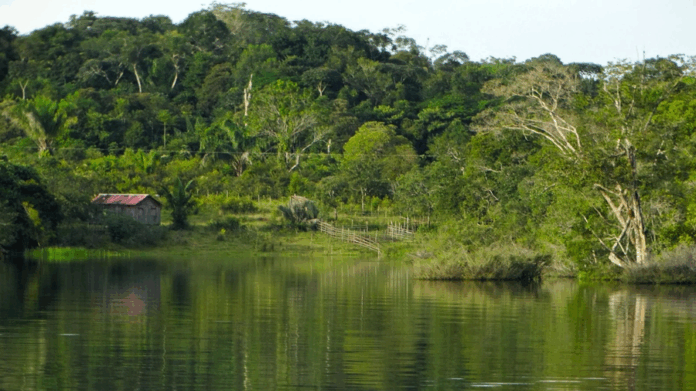Amazonas: menor pierde la vida tras caer al río