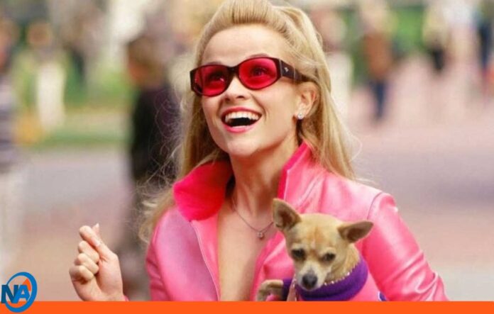 Amazon Elle precuela Legally Blonde Amazon Elle precuela Legally Blonde