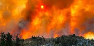 Chile incendios