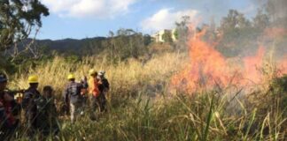 Inameh incendios forestales