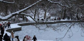 Nueva York tormenta frío