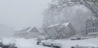 Sur de EE. UU. en alerta máxima tormenta invernal