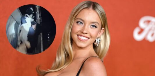 Sydney Sweeney investigación