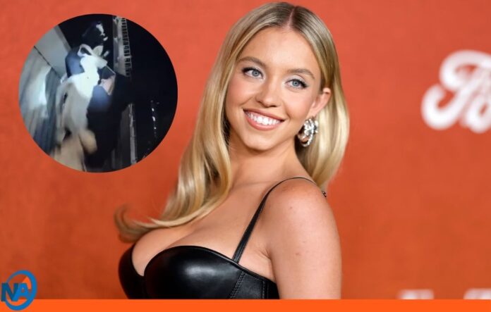 Sydney Sweeney investigación Sydney Sweeney investigación