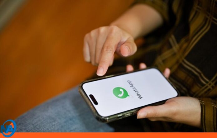 celulares WhatsApp celulares WhatsApp 2026