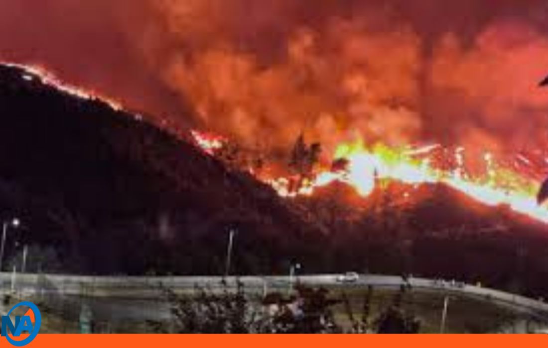 Chile Boric decreta Estado de Catástrofe por incendios forestales-1-1
