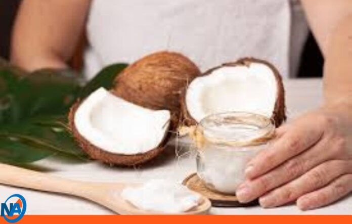Beneficios del coco para reducir grasa corporal Beneficios del coco para reducir grasa corporal
