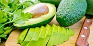 Aguacate el rey de nuestra mesa