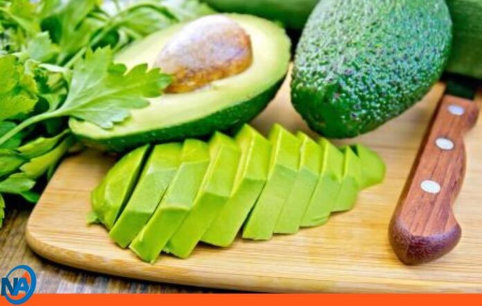 Aguacate el rey de nuestra mesa Aguacate el rey de nuestra mesa