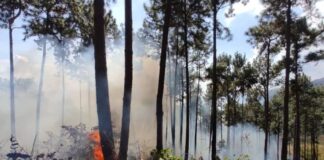 incendios forestales 2026