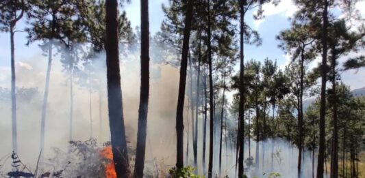 incendios forestales 2026