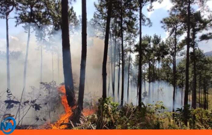 incendios forestales 2026 incendios forestales 2026