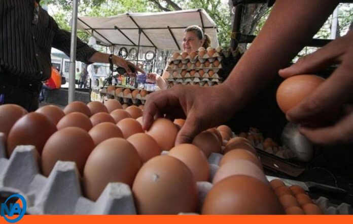 precios carne pollo huevos precios carne pollo huevos
