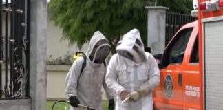 Bomberos controlan enjambre de abejas