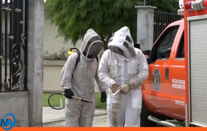 Bomberos controlan enjambre de abejas