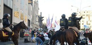 Caballo policía Brasil