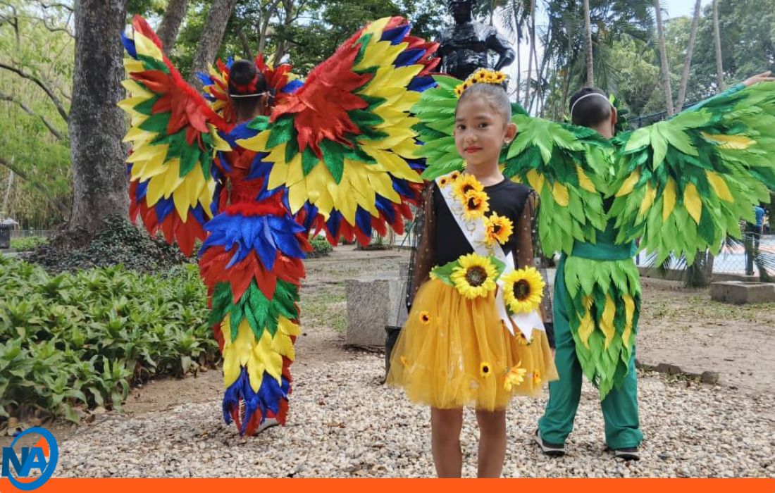 Carabobo 90% de ocupación hotelera en Carnaval-2-2