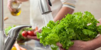 Lechuga fresca