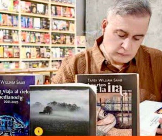 Un tren viaja al cielo de la medianoche