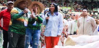 Plan de Sustitución de Importaciones Delcy Rodríguez