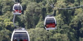 Teleférico Warairarepano Carnavales 2026