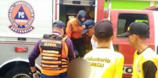 accidentes Portuguesa Carnaval