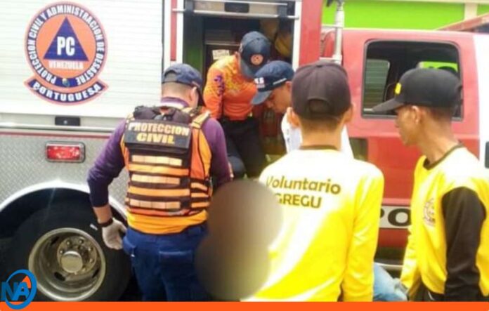 accidentes Portuguesa Carnaval accidentes Portuguesa Carnaval