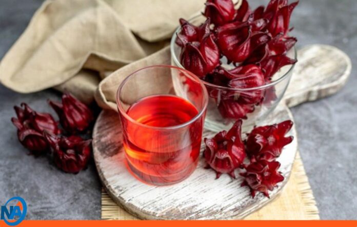beneficios té de jamaica beneficios té de jamaica