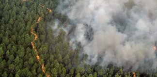 campaña nacional incendios forestales
