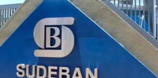 nueva superintendenta Sudeban