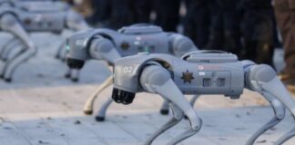 perros robots Mundial 2026
