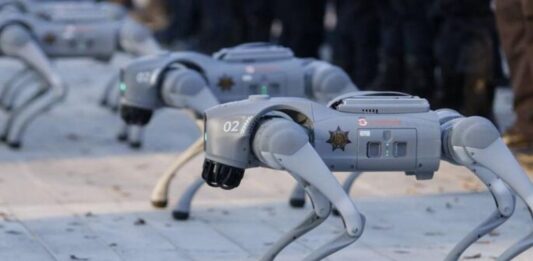 perros robots Mundial 2026