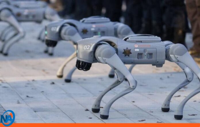 perros robots Mundial 2026