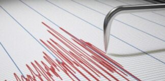 sismo Carabobo 14 de febrero