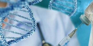 vacuna personalizada contra el cáncer