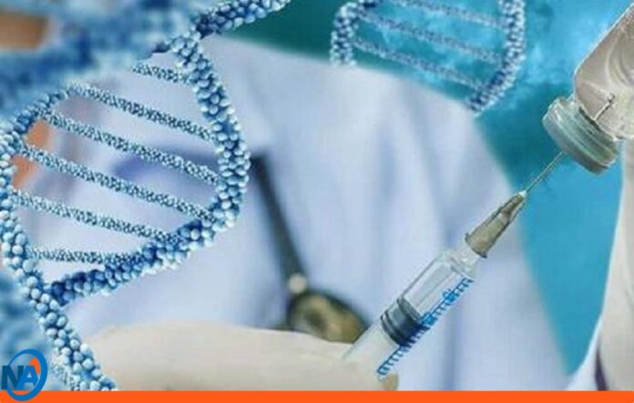vacuna personalizada contra el cáncer