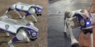 Chacao con perros robóticos