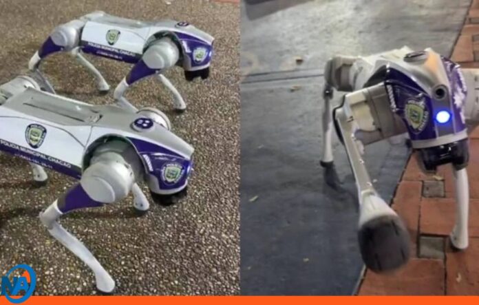 Chacao con perros robóticos Chacao con perros robóticos