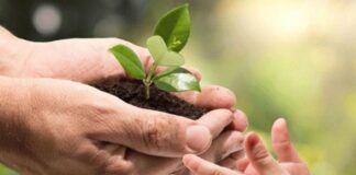 Día Mundial de la Naturaleza