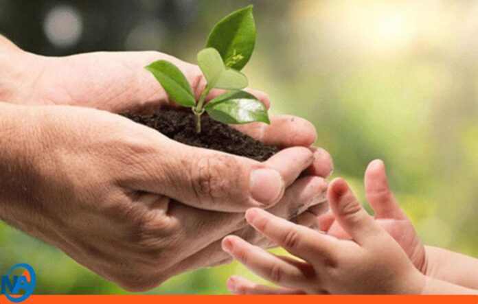 Día Mundial de la Naturaleza Día Mundial de la Naturaleza
