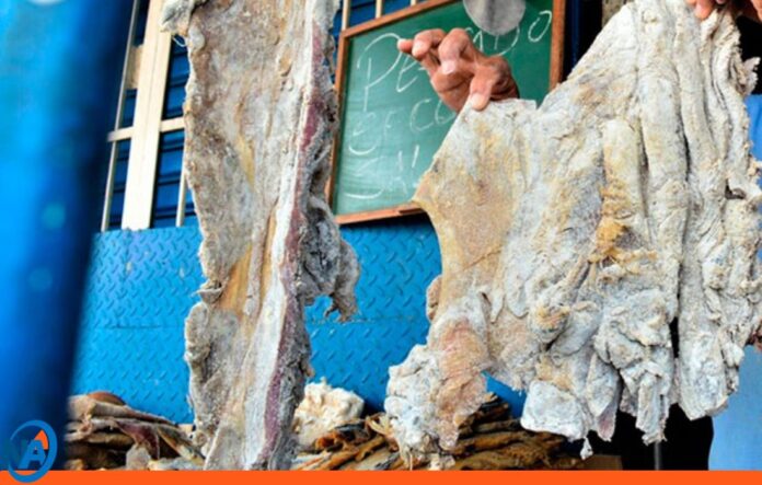 Minec incautó carne de baba chigüire