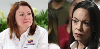 Ministerio de Hidrocarburos privatización