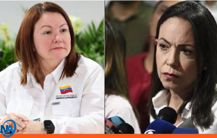 Ministerio de Hidrocarburos privatización