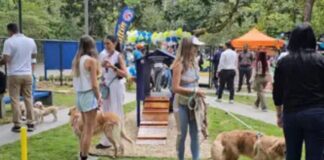 Parque de mascotas La Lagunita