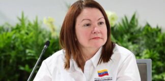 Paula Henao Ministra de Hidrocarburo