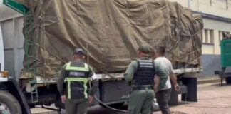 incautan toneladas hortalizas
