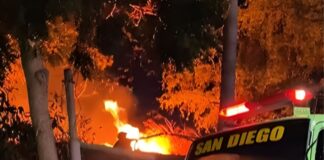incendio forestal Los Jarales